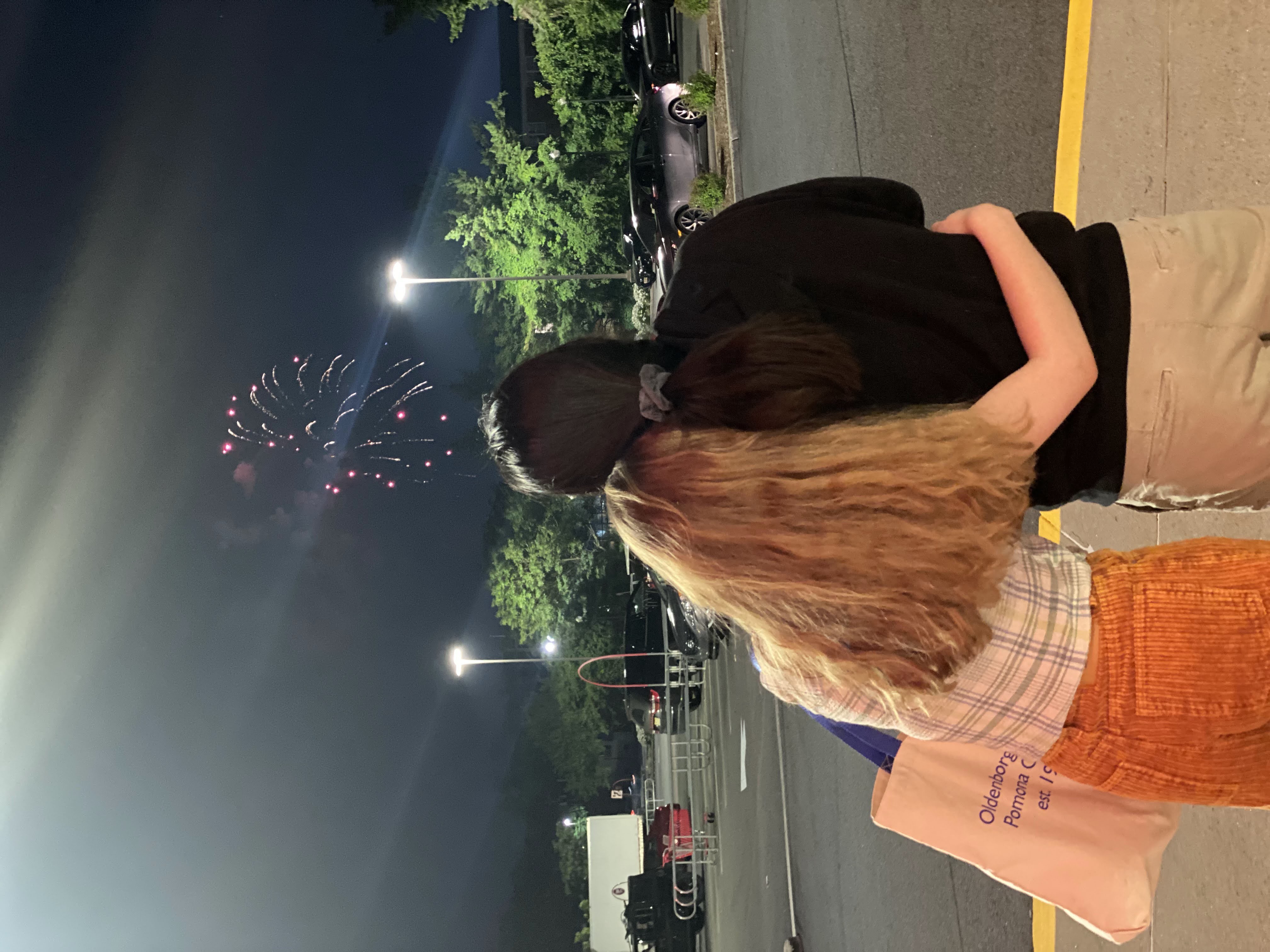 Description of photo 1