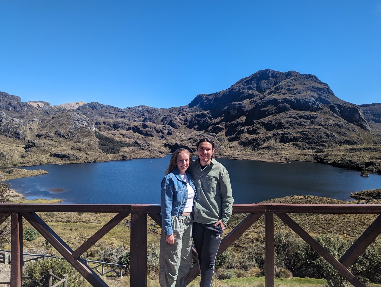 Description of photo 1